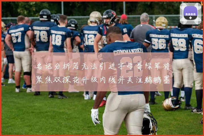 名记分析若无法引进字母哥绿军将聚焦双探花升级内线并关注鹈鹕墨菲
