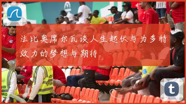 法比奥席尔瓦谈人生起伏与为多特效力的梦想与期待